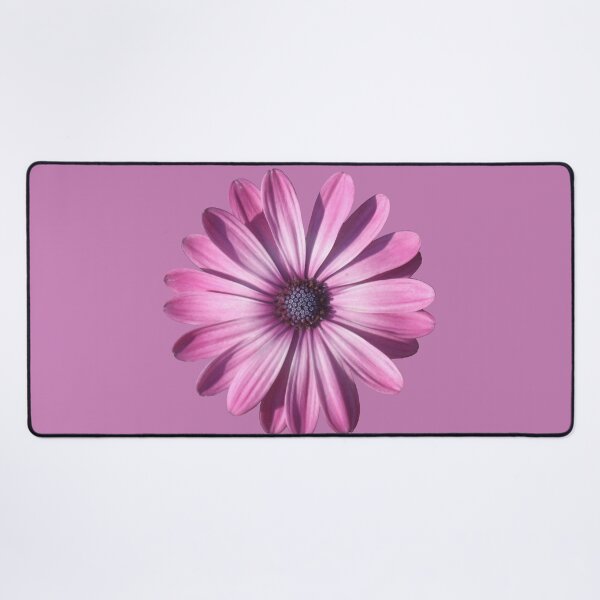 Item preview, Spectacular African Daisy Isolated designed and sold by taiche.