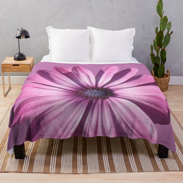 Item preview, Spectacular African Daisy Isolated designed and sold by taiche.