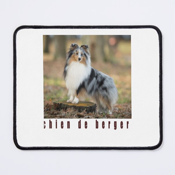 Item preview, de chien de berger shetland. designed and sold by ChristineGladu.