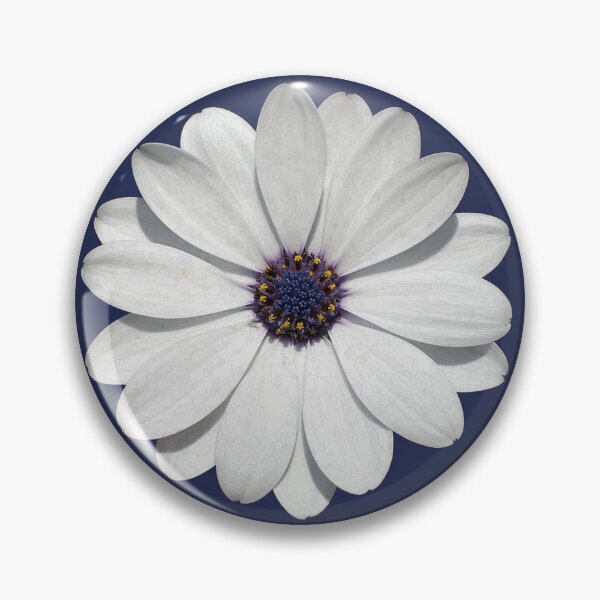 Item preview, White Osteospermum Daisy Festival Flower Vector Art  designed and sold by taiche.
