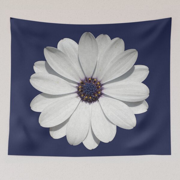 Item preview, White Osteospermum Daisy Festival Flower Vector Art  designed and sold by taiche.