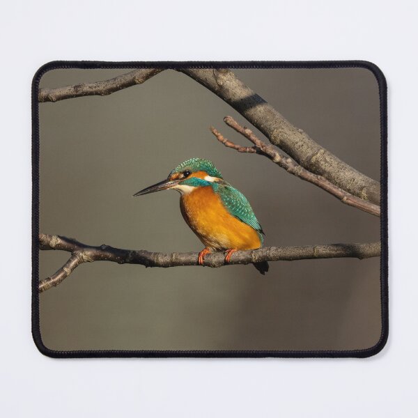 Item preview, Kingfisher (Alcedo atthis) designed and sold by Piotr Front.