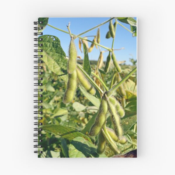 Item preview, Soybeans in Autumn designed and sold by Robert Meyers-Lussier.