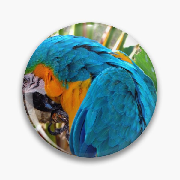Item preview, Macaw Parrot Yellow And Blue Bird designed and sold by AndyEvansPhotos.