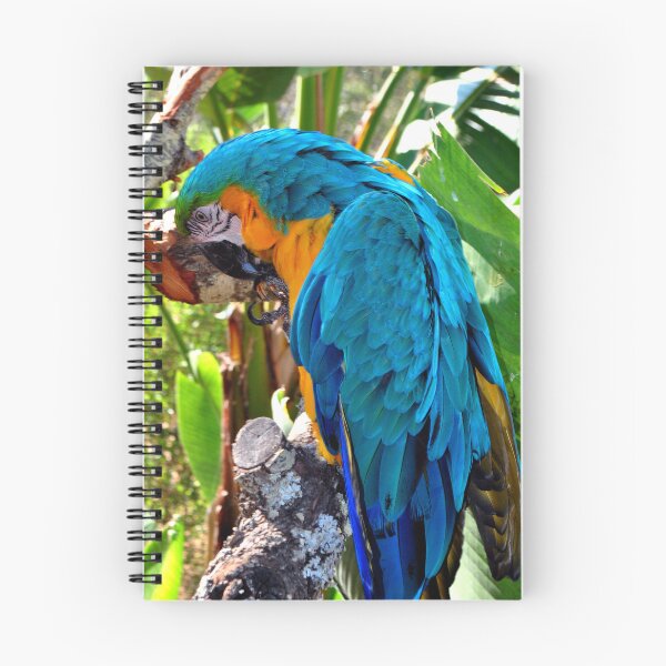 Item preview, Macaw Parrot Yellow And Blue Bird designed and sold by AndyEvansPhotos.