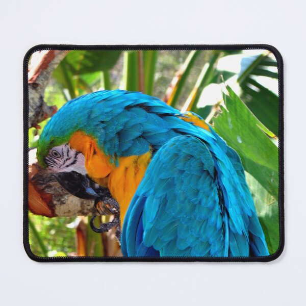 Item preview, Macaw Parrot Yellow And Blue Bird designed and sold by AndyEvansPhotos.