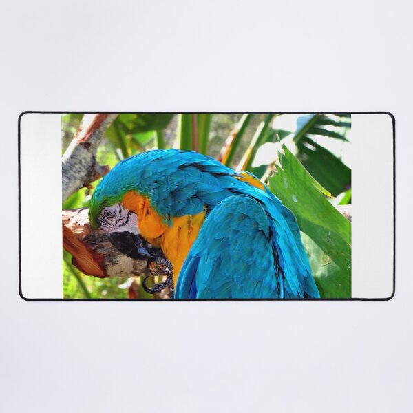 Item preview, Macaw Parrot Yellow And Blue Bird designed and sold by AndyEvansPhotos.