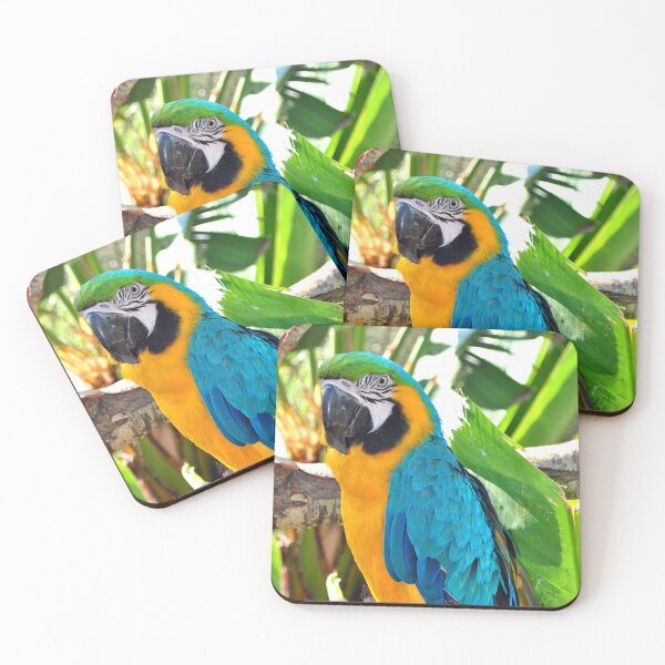 Item preview, Macaw Parrot Yellow And Blue Bird designed and sold by AndyEvansPhotos.