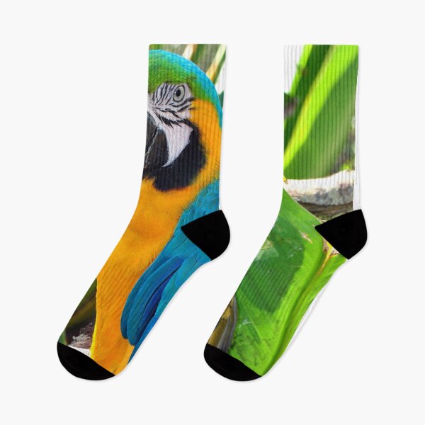 Item preview, Macaw Parrot Yellow And Blue Bird designed and sold by AndyEvansPhotos.