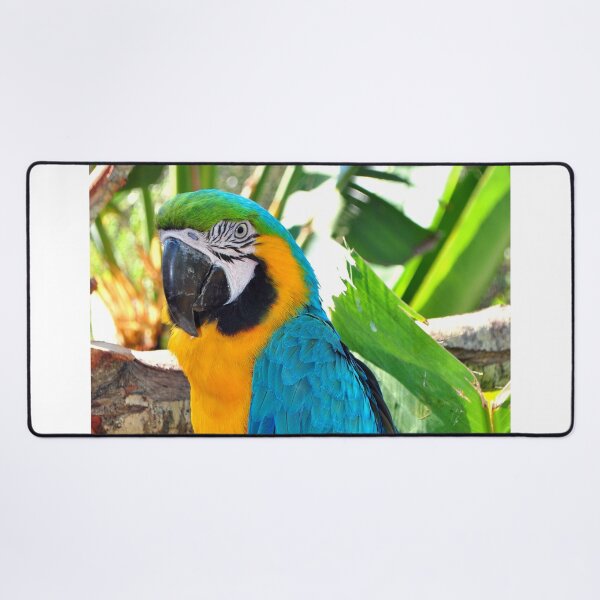 Item preview, Macaw Parrot Yellow And Blue Bird designed and sold by AndyEvansPhotos.