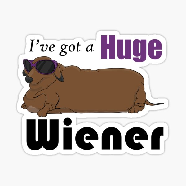huge wiener dog