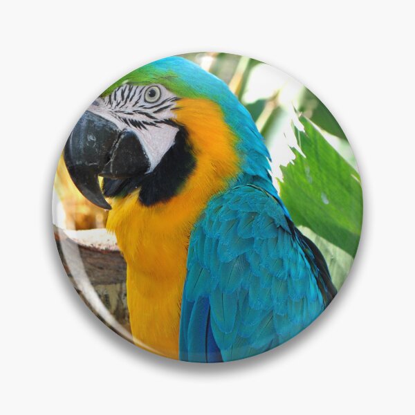 Item preview, Macaw Parrot Yellow And Blue Bird designed and sold by AndyEvansPhotos.