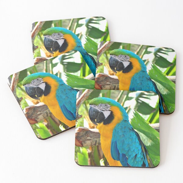 Item preview, Macaw Parrot Yellow And Blue Bird designed and sold by AndyEvansPhotos.