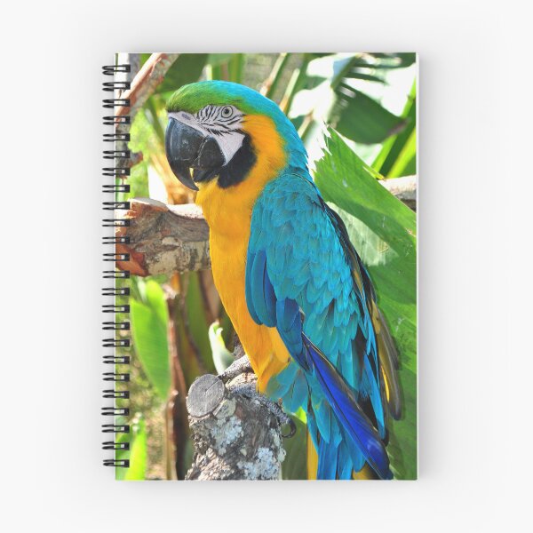Item preview, Macaw Parrot Yellow And Blue Bird designed and sold by AndyEvansPhotos.
