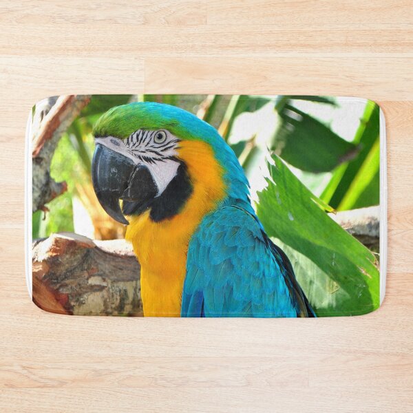 Item preview, Macaw Parrot Yellow And Blue Bird designed and sold by AndyEvansPhotos.