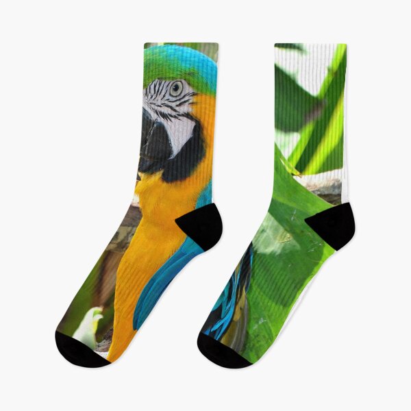 Item preview, Macaw Parrot Yellow And Blue Bird designed and sold by AndyEvansPhotos.