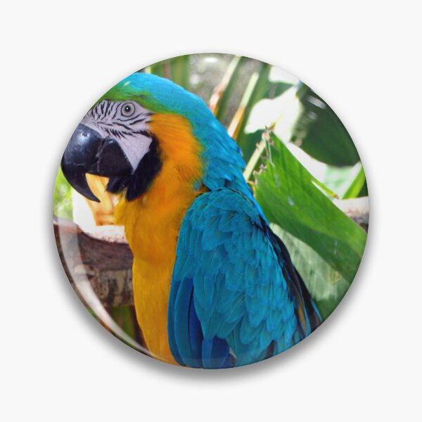 Item preview, Macaw Parrot Yellow And Blue Bird designed and sold by AndyEvansPhotos.