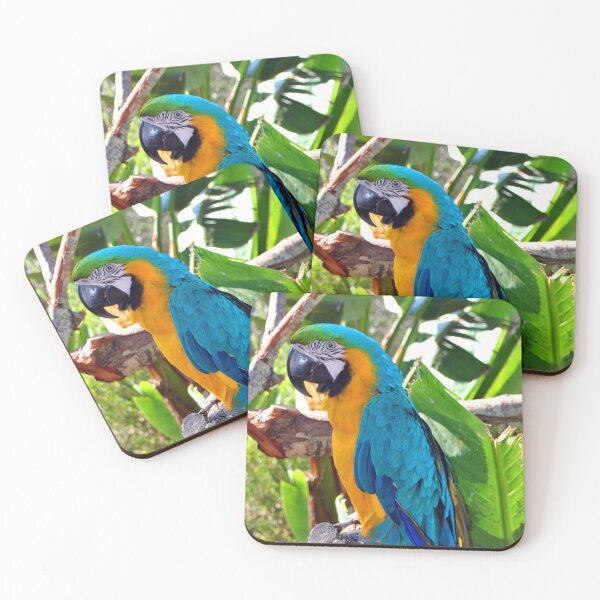 Item preview, Macaw Parrot Yellow And Blue Bird designed and sold by AndyEvansPhotos.