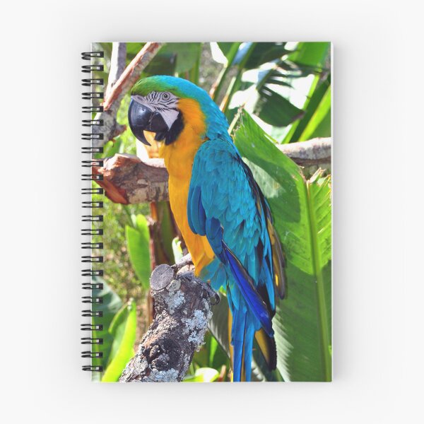 Item preview, Macaw Parrot Yellow And Blue Bird designed and sold by AndyEvansPhotos.