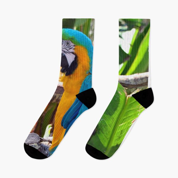 Item preview, Macaw Parrot Yellow And Blue Bird designed and sold by AndyEvansPhotos.