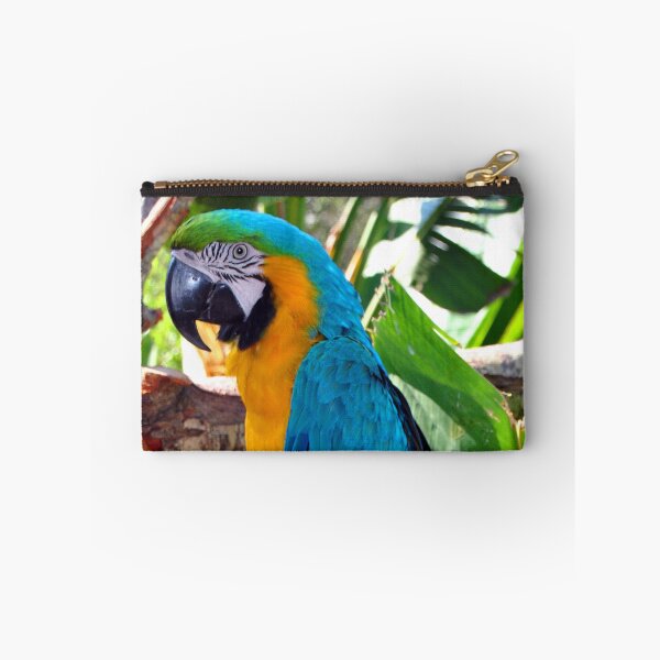 Item preview, Macaw Parrot Yellow And Blue Bird designed and sold by AndyEvansPhotos.