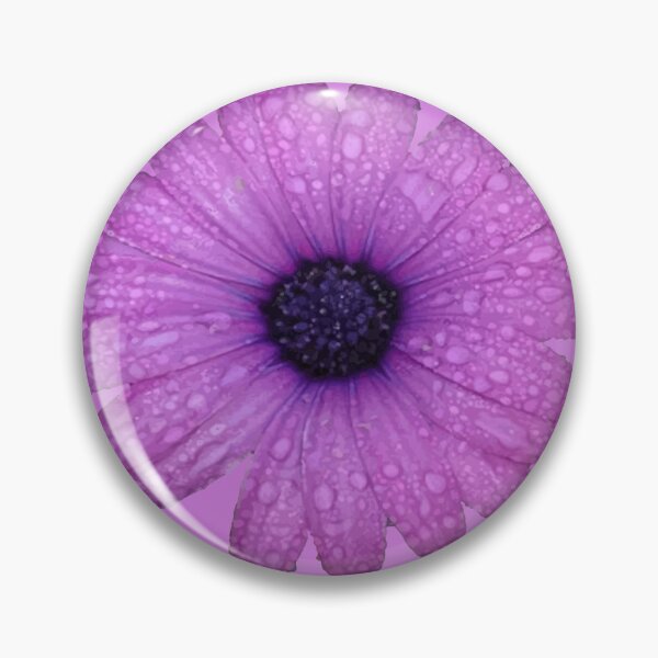 Item preview, Purple Blue-Eyed Daisy And Raindrops Isolated designed and sold by taiche.