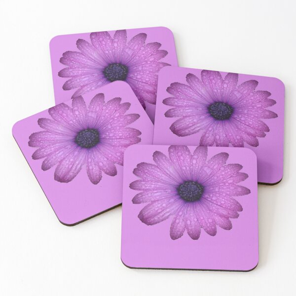 Item preview, Purple Blue-Eyed Daisy And Raindrops Isolated designed and sold by taiche.
