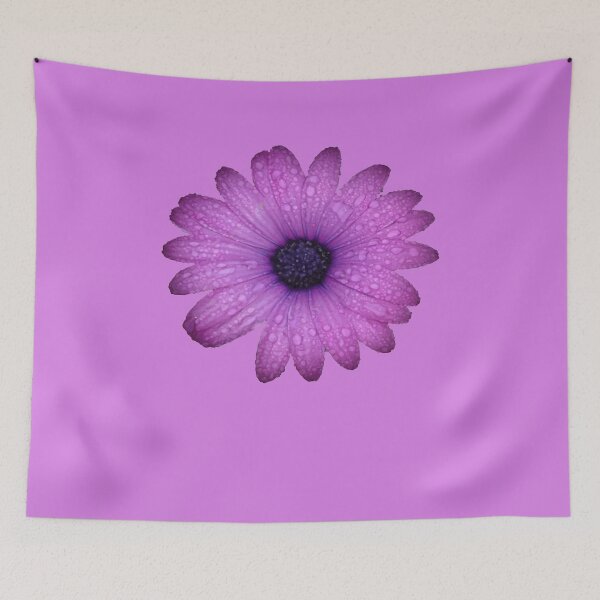 Item preview, Purple Blue-Eyed Daisy And Raindrops Isolated designed and sold by taiche.
