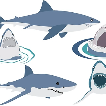 Artwork thumbnail, Sharks Pattern Sticker Set - Redbubble Sticker by bluehatgraphics