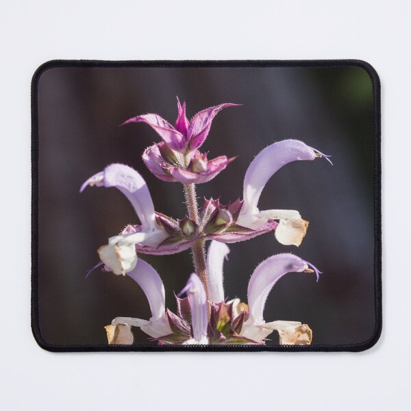 Item preview, Clary sage purple blossom designed and sold by StohlerPhotos.