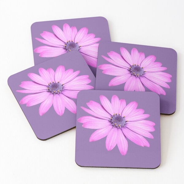Item preview, Single Pink African Daisy Isolated designed and sold by taiche.