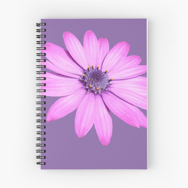 Item preview, Single Pink African Daisy Isolated designed and sold by taiche.