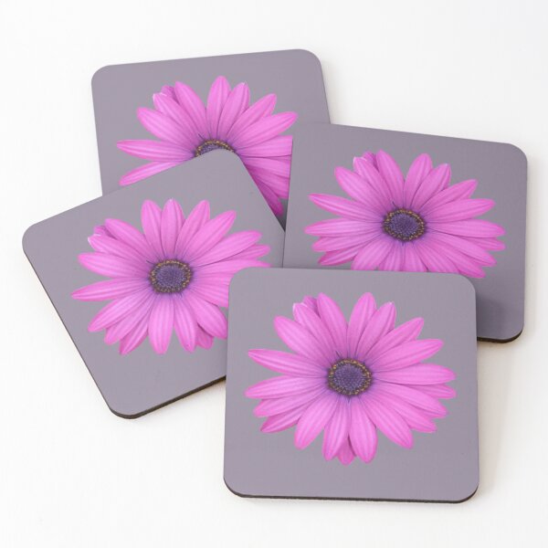 Item preview, Pink Petals African Daisy Isolated designed and sold by taiche.
