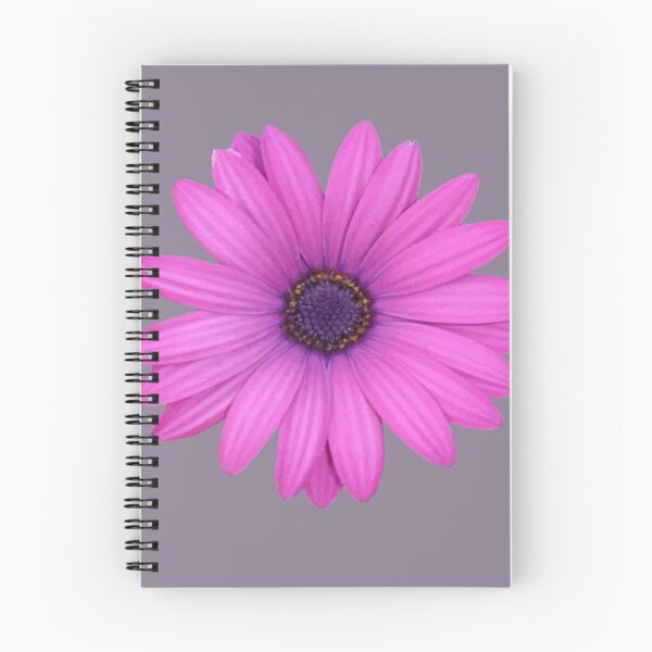 Item preview, Pink Petals African Daisy Isolated designed and sold by taiche.