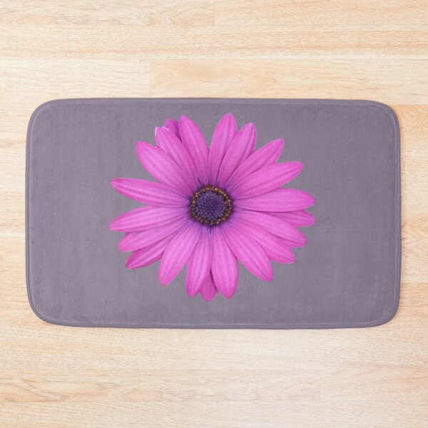 Item preview, Pink Petals African Daisy Isolated designed and sold by taiche.