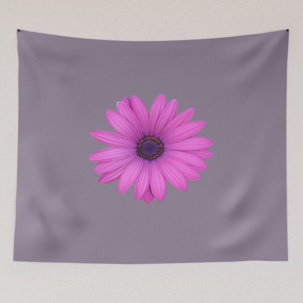 Item preview, Pink Petals African Daisy Isolated designed and sold by taiche.
