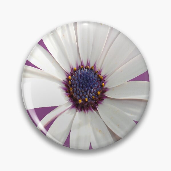 Item preview, Beautiful Osteospermum White Daisy With Purple Center Cut Out designed and sold by taiche.