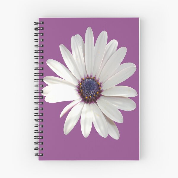 Item preview, Beautiful Osteospermum White Daisy With Purple Center Cut Out designed and sold by taiche.