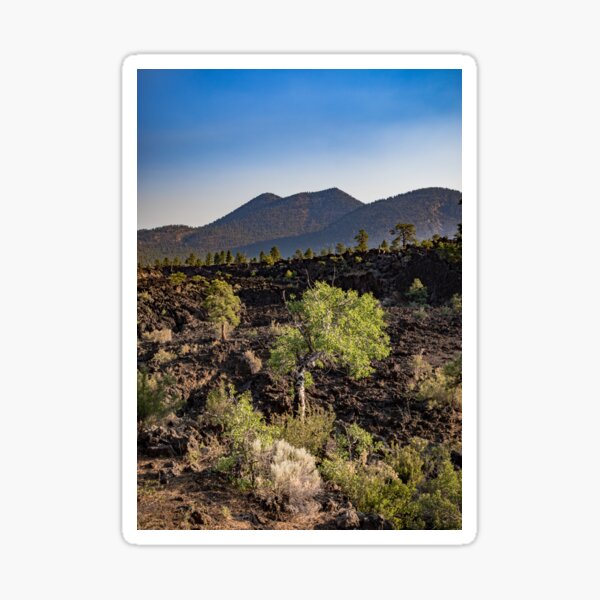 Sunset Crater Volcano Sticker
