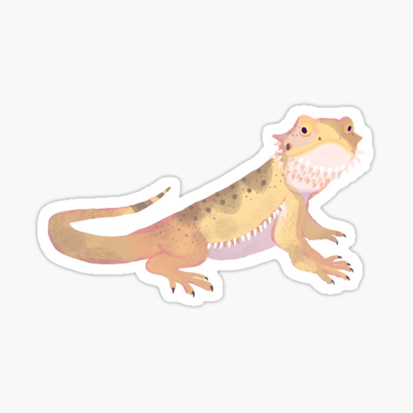 Bearded Dragon Lizard Art Sticker