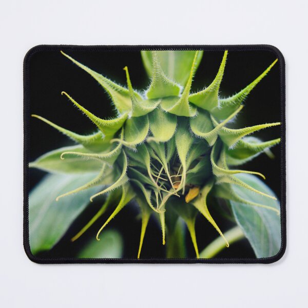 Item preview, Green plant on black background designed and sold by olena2552.
