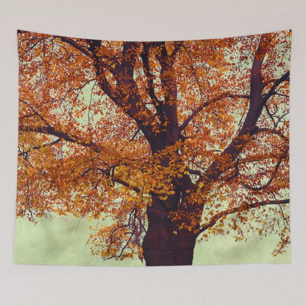 Item preview, Copper Beech Tree In Autumn Foliage designed and sold by Dyrk Wyst Redbubble Shop.