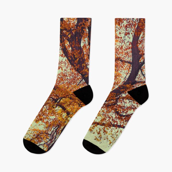 Item preview, Copper Beech Tree In Autumn Foliage designed and sold by Dyrk Wyst Redbubble Shop.