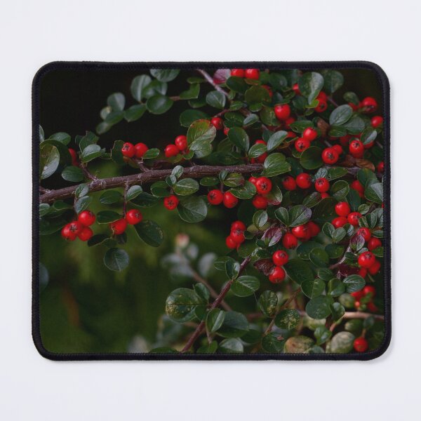 Item preview, Photo from the autumn garden. Early autumn. Autumn berry designed and sold by AikinaNatalia.