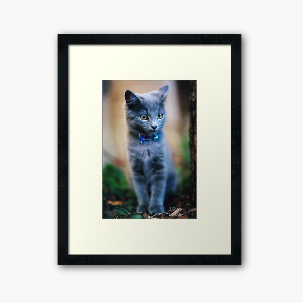 Leo Framed Art Print