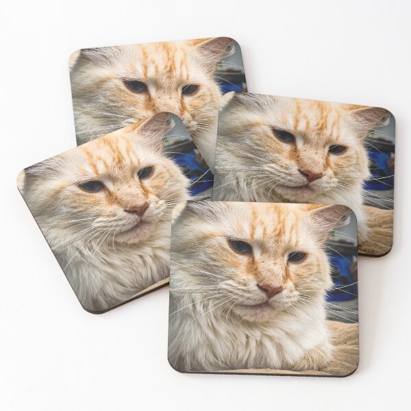 Item preview, Cat chilling designed and sold by MSPicArt.