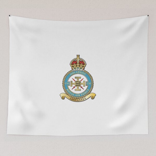 Item preview, 111 Sqn designed and sold by Aircombatgroup.