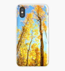 Santa Fe Aspens iPhone Case