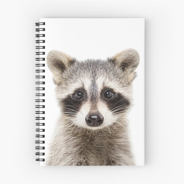 Item preview, Baby Raccoon - peekaboo animals collection designed and sold by Digital  Cloud.