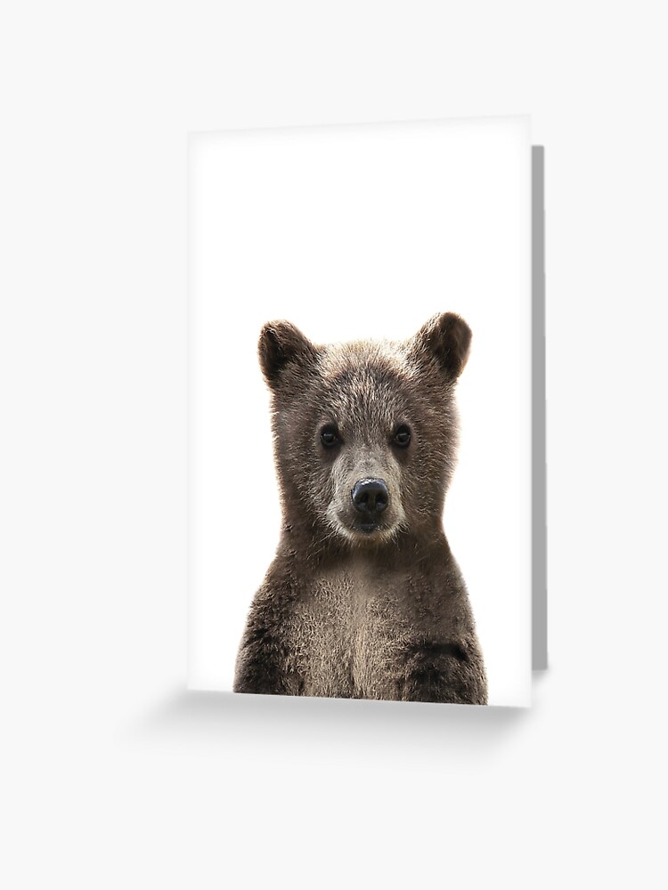 Baby bear - peekaboo animals collection